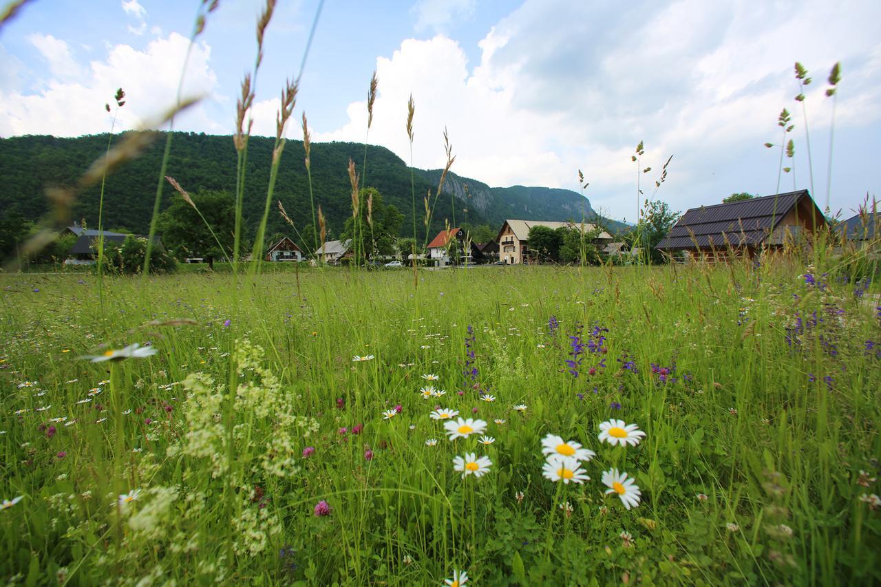 Hisa Pr'Pristavc Hotel Bohinj ภายนอก รูปภาพ